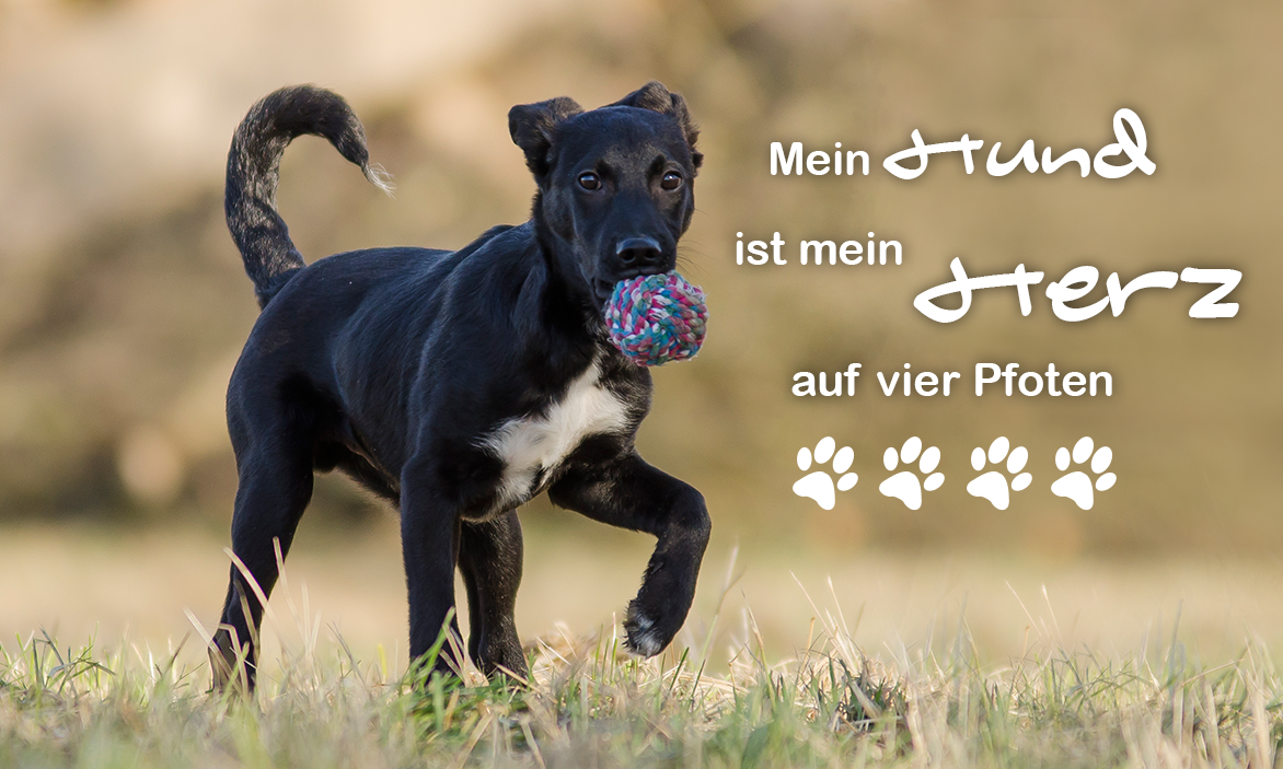 Businessfotografie und Bewerbungsfotografie Fotostudio Knobloch Bötzingen am Kaiserstuhl