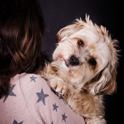 Tierfotografie Hundefotografie Outdoorfotografie Fotostudio Knobloch Kaiserstuhl09